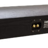 C 100 V.3 Center Speakers back