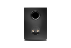 Cambridge Audio Evo S Rear 1