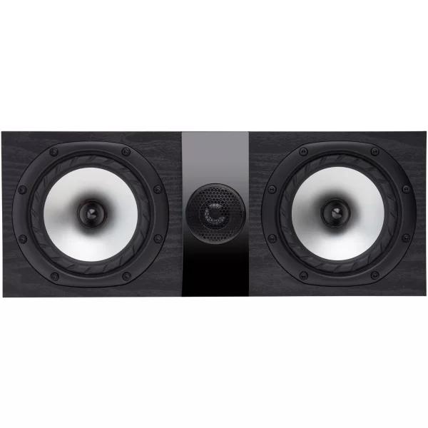 F300C Front Black center channel