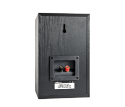 T15 Image back