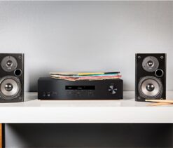 T15 Image in situ
