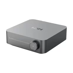 WIIM AMP