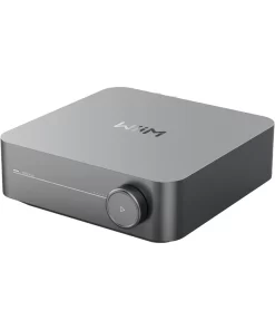 WIIM AMP