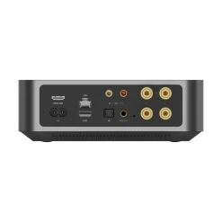 WIIM AMP BACK
