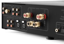 Hegel H-190V integrated amplifier input and output connections