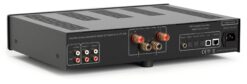 Hegel H-95 integrated amplifier rear panel connections