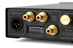 Hegel V10 phono preamplifier loading and gain switches