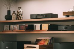 Hegel Viking CD player in a listening room