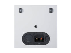 ma bronze fx back white